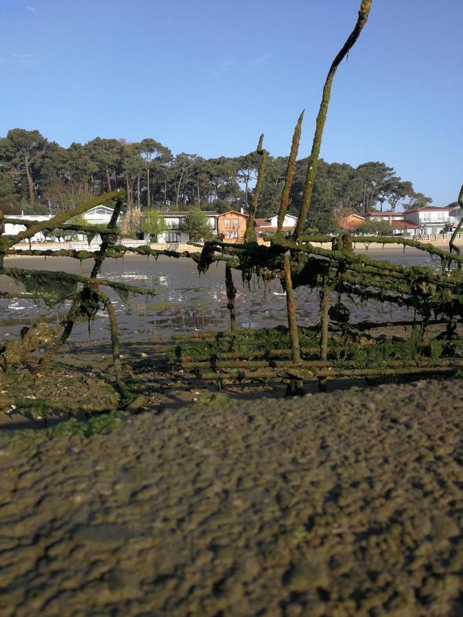 La Cabane Du Truquet Lège-Cap-Ferret Kültér fotó
