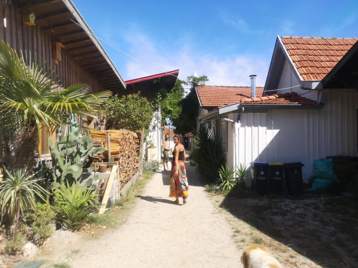 La Cabane Du Truquet Lège-Cap-Ferret Kültér fotó