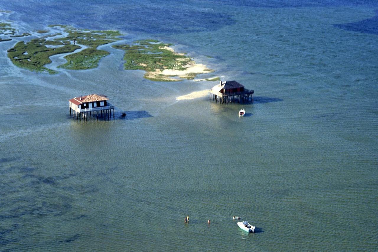 La Cabane Du Truquet Lège-Cap-Ferret Kültér fotó